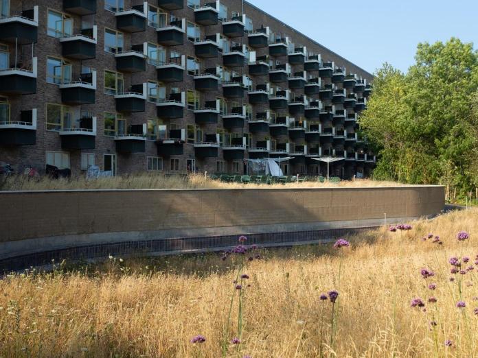 Billede af fremtidens gårdhave i A/B Storgaarden på Tomsgårdsvej 70-110.